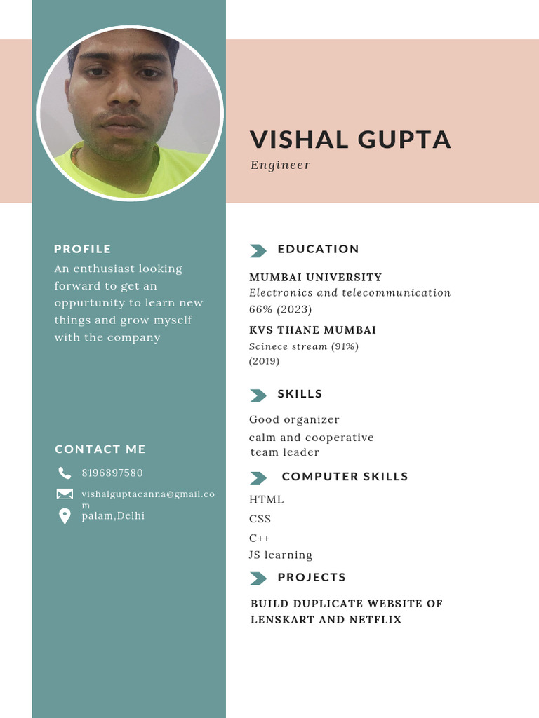 Vishal Gupta - Electronics Engineer Profile | PDF