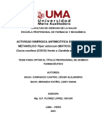 ACTIVIDAD SINÉRGICA ANTIMICÓTICA DEL EXTRACTO METANÓLICO Piper aduncum (MATICO) Y ACEITE DE Cocos nucifera (COCO) frente a Candida albicans in v.pdf