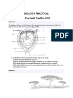 Biology Paper 3 (Practical), Nov/Dec 2013