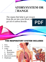 Respiratory System Ppt.