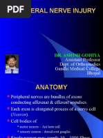 Download Peripheral Nerve Injury1 by api-3716867 SN7285793 doc pdf