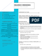 Copie de Gray Modern Professional Without Photo Resume