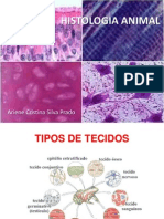 Slides - Histologia Animal