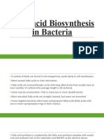 Fatty Acid Biosynthesis in Bacteria