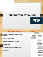 Factors Affecting Downstream Processing 1