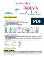 Kingdom Protista (SFILE