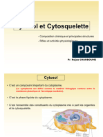 5-Cytosol Et Cytosquelette