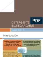 Detergente Biodegradable