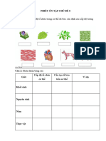 Hướng dẫn- Phiếu ôn tập chủ đề 8