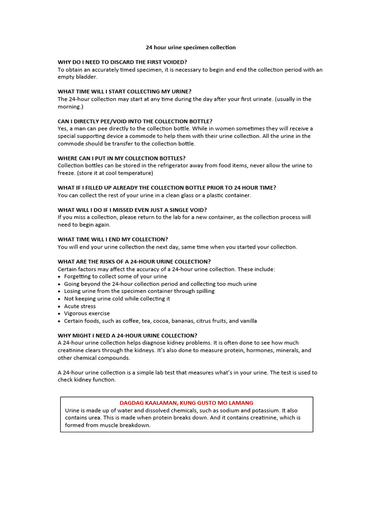 24-Hour Urine Collection Guide | PDF | Urination | Urine