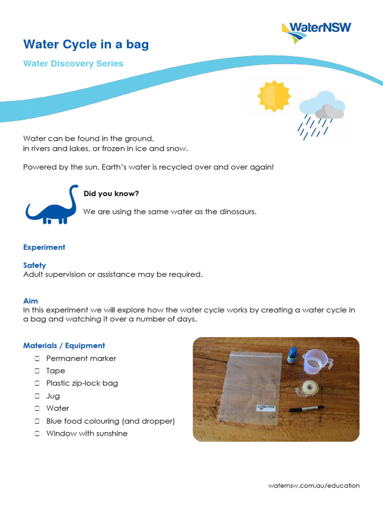 water-cycle-experiment-in-a-bag-pdf-water-cycle-water