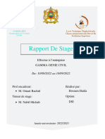 Rapport de Stage DSI