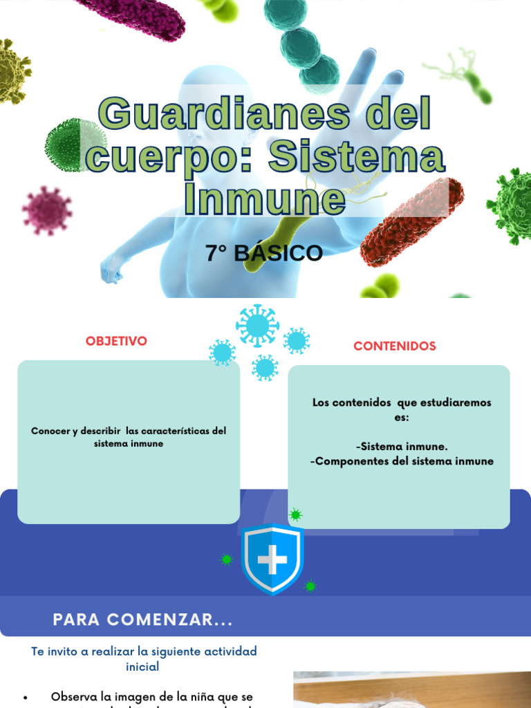 Sistema Inmune | PDF | Sistema inmune | Fagocito