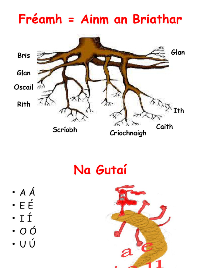 An Aimsir Chaite 1 | PDF
