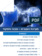 מערכת העצבים - מבנה ותפקוד