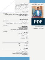 - - - - ARABIC - CV (3) - ٠٦٣٨٣٠