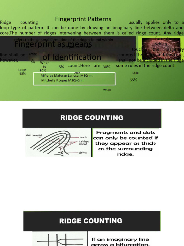 Understanding Ridge Count in Fingerprints | PDF