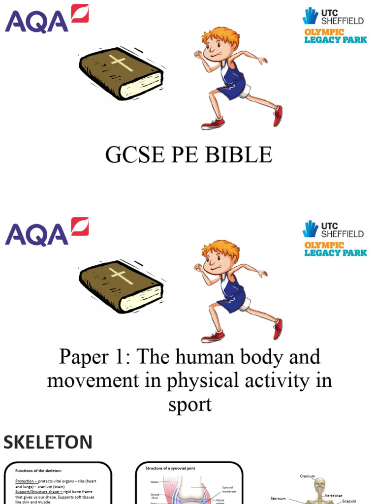 GCSE PE Paper 1 Content | PDF | Heart | Ventricle (Heart)