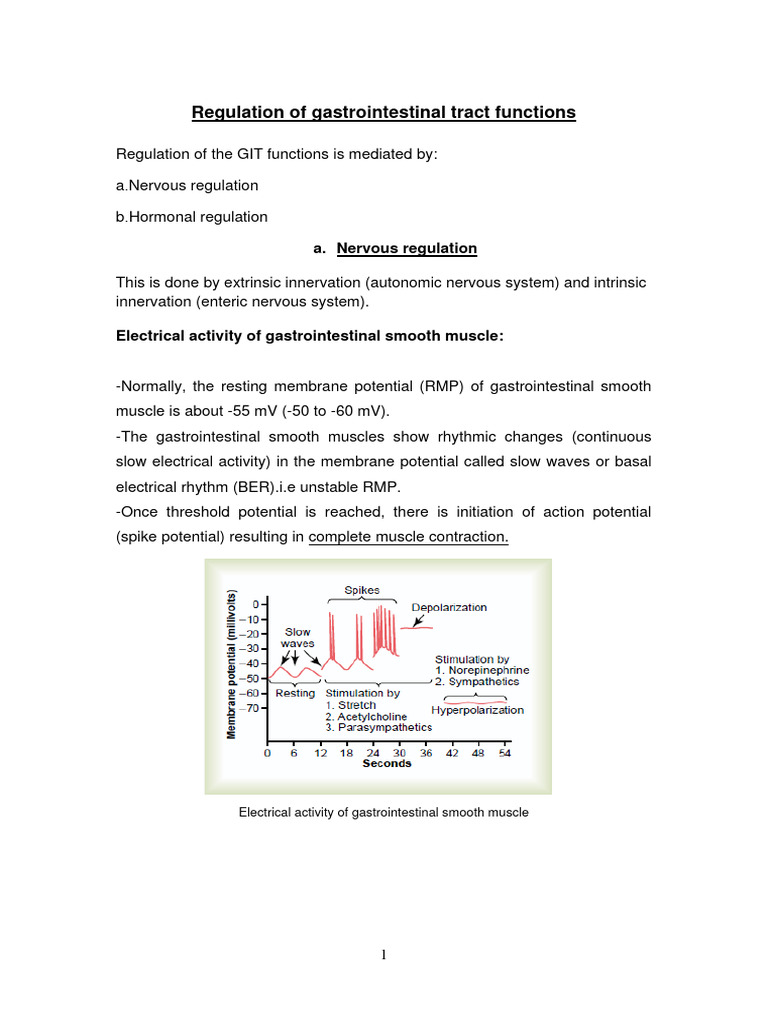 Regulation of Gastrointestinal Tract Functions | PDF | Gastrointestinal ...