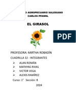 Cuadrilla 32. Girasol