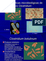 bacilosgrampositivosformadoresdeesporas-100606193054-phpapp02