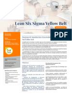 2104 Lean Six Sigma Yellow Belt