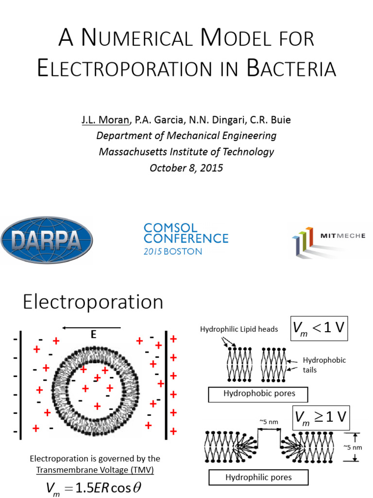 Numerical Simulation Using Proteus Bacteria
