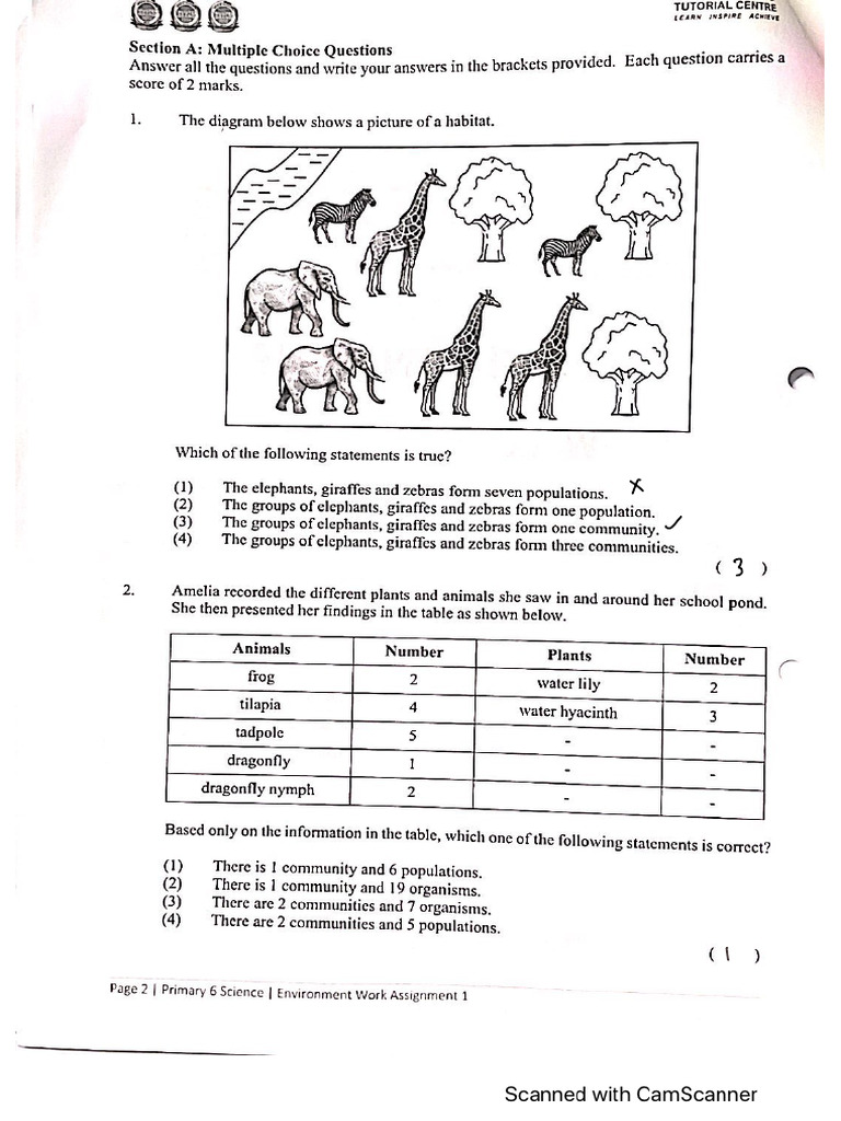 Birds and Cacti: Mutual Benefits Explained | PDF