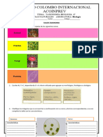 TALLER Reinos y Taxonomia