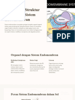 Memahami Struktur Dan Fungsi Sistem Endomembran