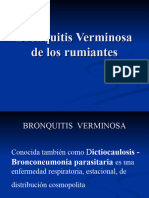 Bronquitis Verminosa
