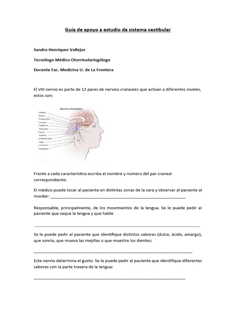 Guia de Apoyo A Estudio de Sistema Vestibular | PDF | Nervio vago ...