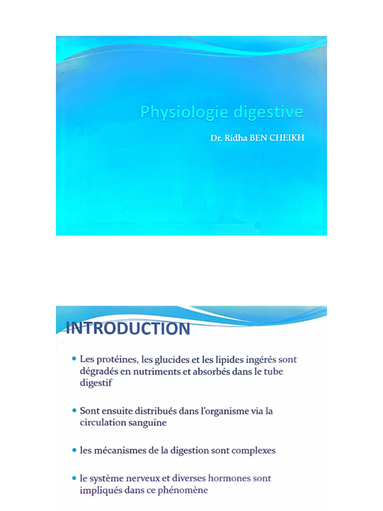  04 03 2024 15 36 1 pdf