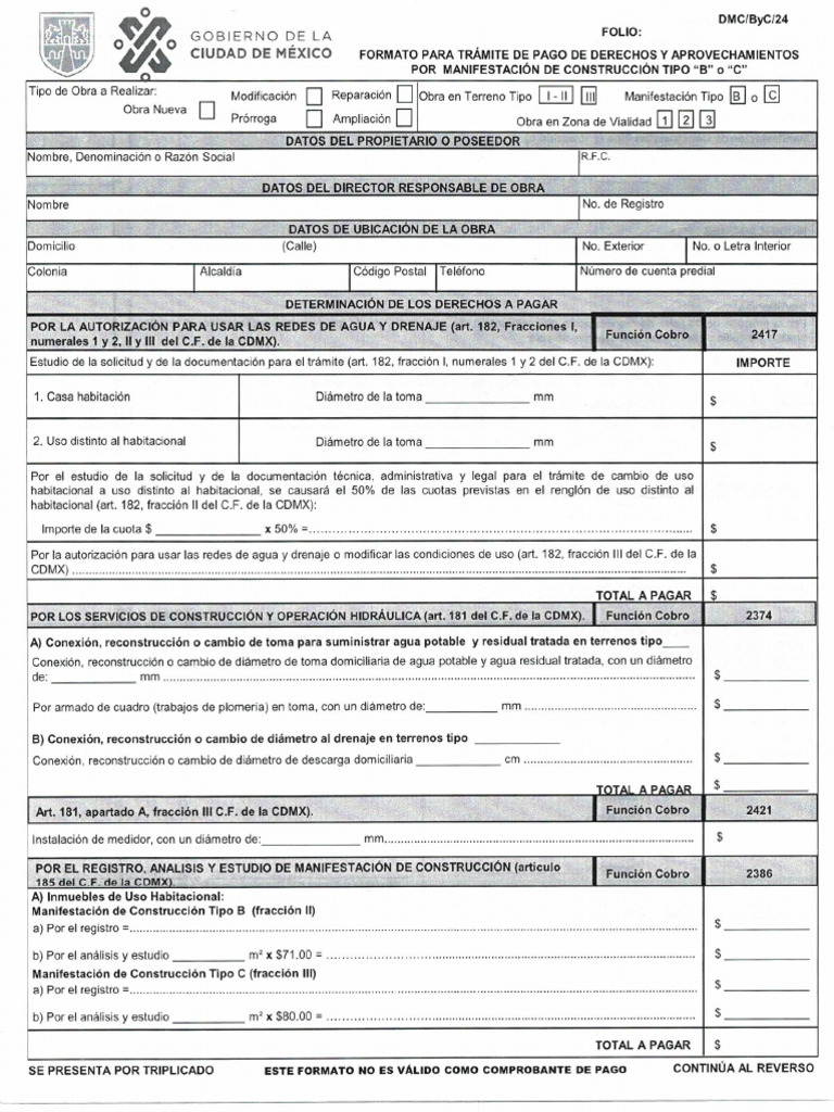 Formato Tramite De Pago De Derechos Tesoreria Pdf