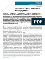 Mesophasic Organization of GABAA Receptors in (1) - Compressed