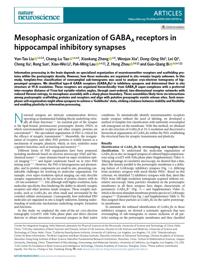 Mesophasic Organization of GABAA Receptors in (1) - Compressed | PDF ...