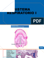 Muestras Semana 6 Histología