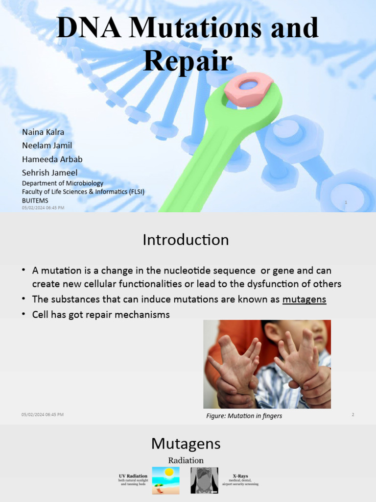 DNA Mutations and Repair Mechanisms | PDF | Dna Repair | Dna