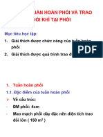 Sinh Lý Tuần Hoàn, Trao Đổi Khí Tại Phổi