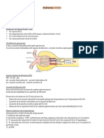 3erparcialclinicas(Renal Digestivo Neuro Sangre) Convertido