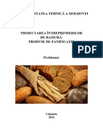 Proiectarea_intreprind_de_ramura_Problemar_DS