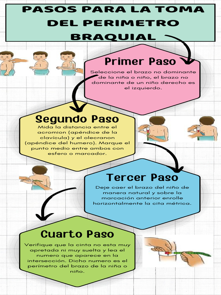 infografia-toma-perimetro-braquial-pdf