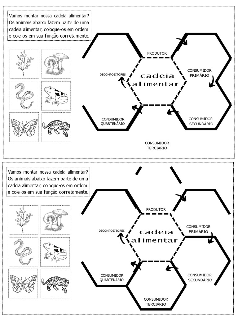 Montando a Cadeia Alimentar | PDF | Bem-estar