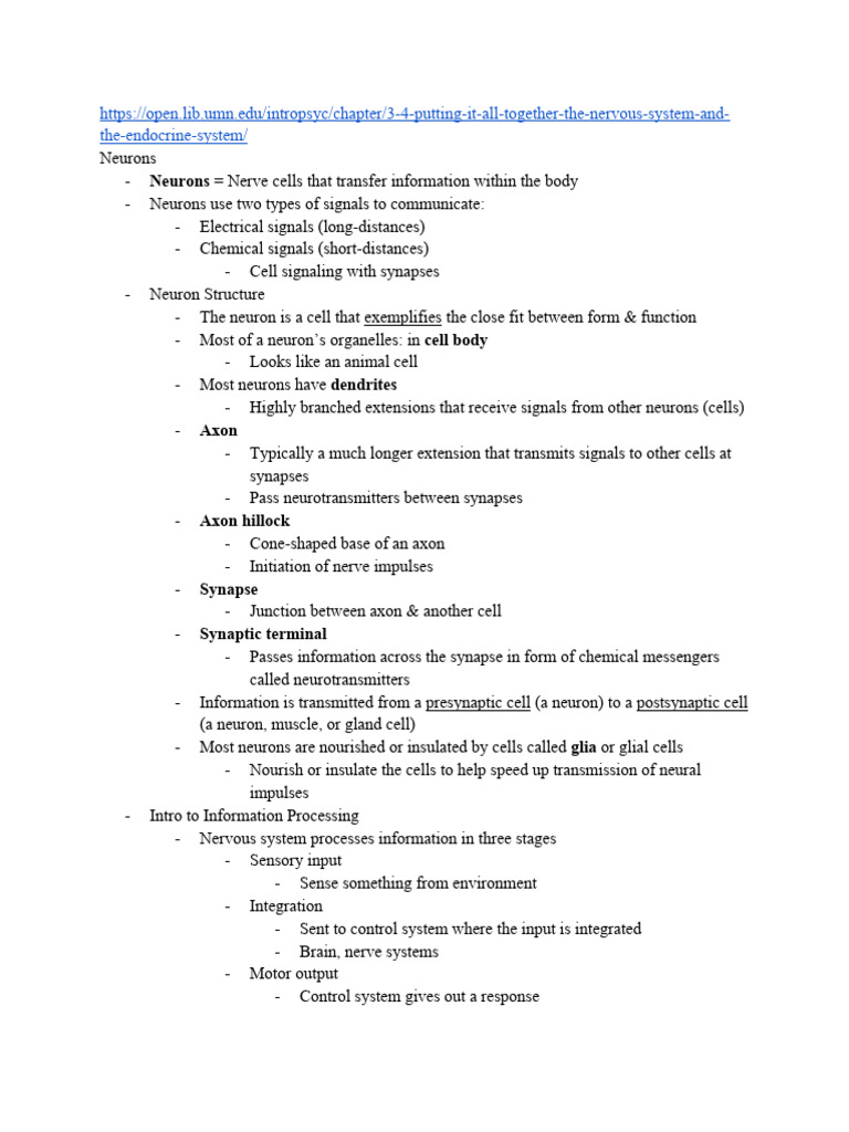 Understanding Neurons and Nervous Systems | PDF | Chemical Synapse ...