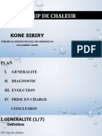 Coup de Chaleur Par Kone Sibiry - Copie