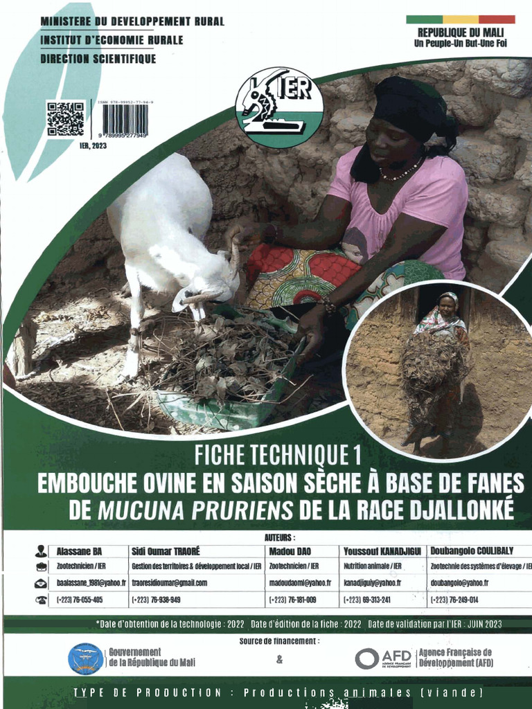 Embouche ovine au Burkina Faso | PDF | Mouton | Fourrage
