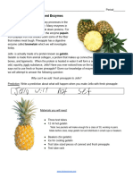 Pineapple Enzyme Lab