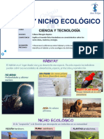 Habitat y Nicho Ecologico-5to Grado