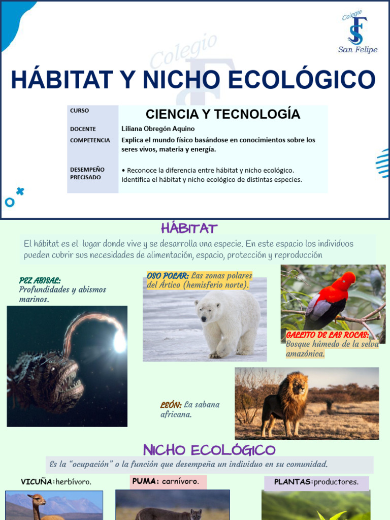 Nicho Ecológico Vs. Hábitat: ¿Cuál Es La Diferencia? – TWMWFE