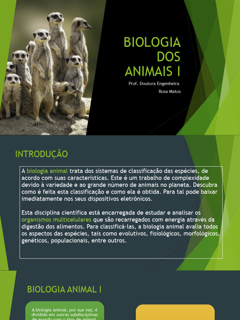 Classificação da Biologia Animal I | PDF | Biologia | Taxonomia (Biologia)